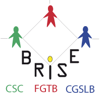 Brise logo