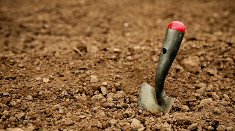 Pelle dans le sol des terres rares IA