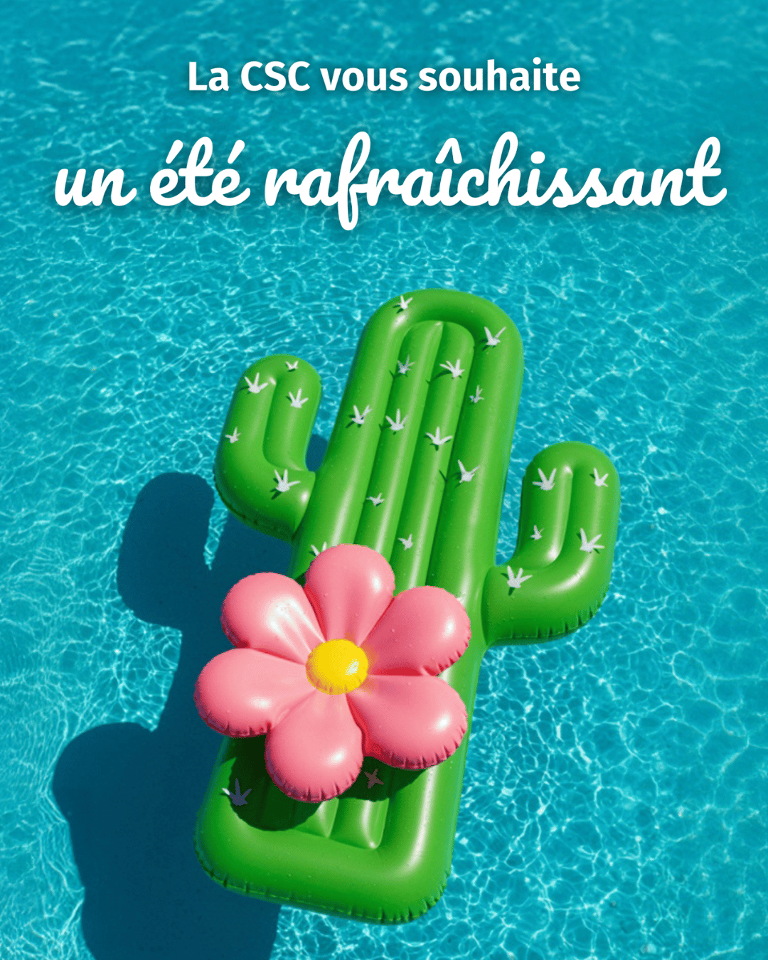 Vacances 2025 - bouée piscine Bouée en forme de cactus dans une piscine