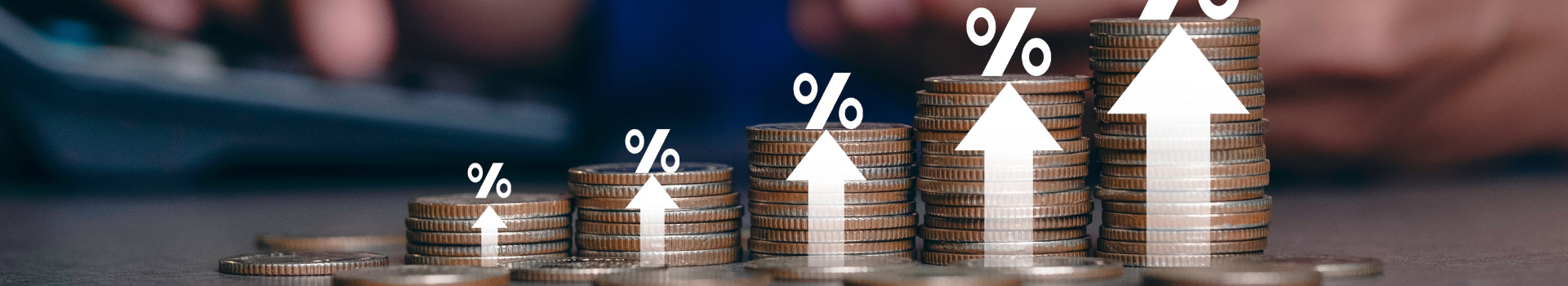 Een vlag van de Vlaamse leeuw.