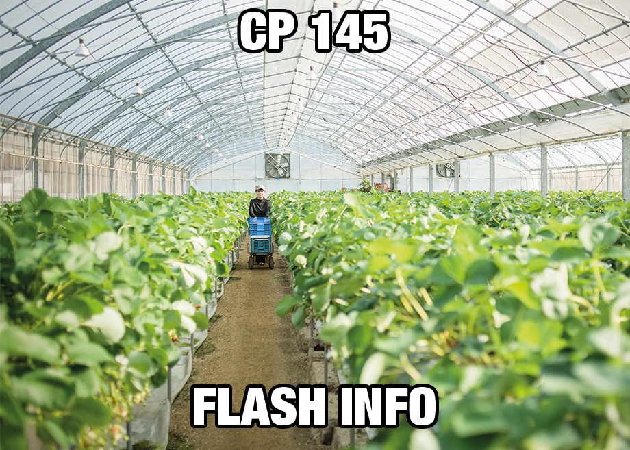 PC145_flash_FR