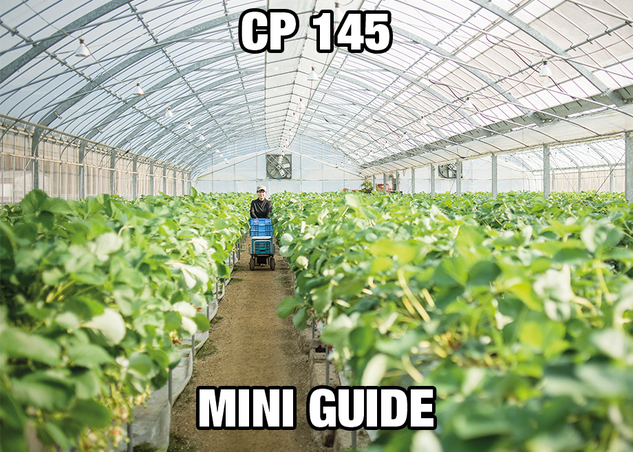 PC145_mini_FR