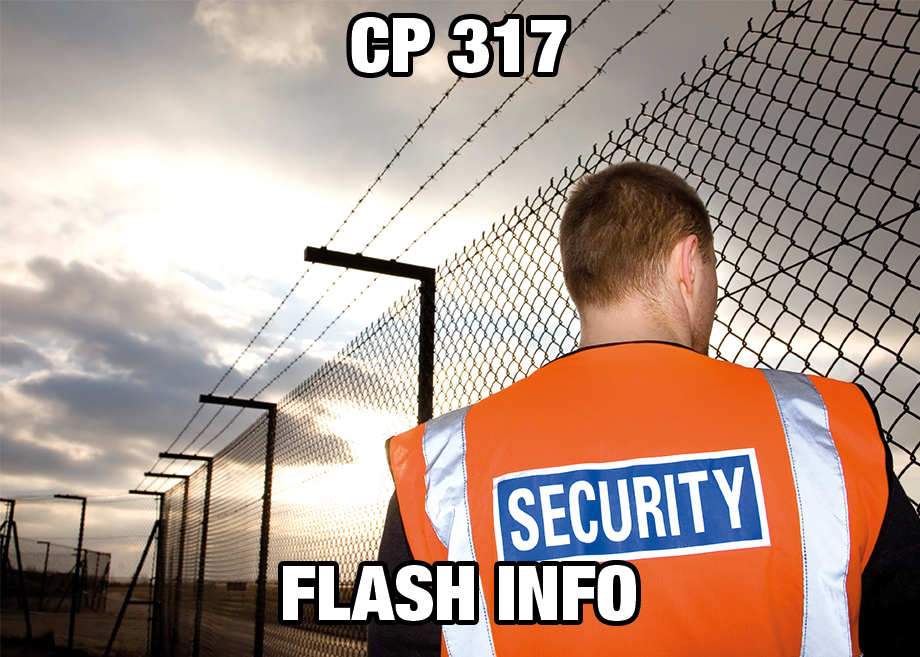 CP317_flash_FR
