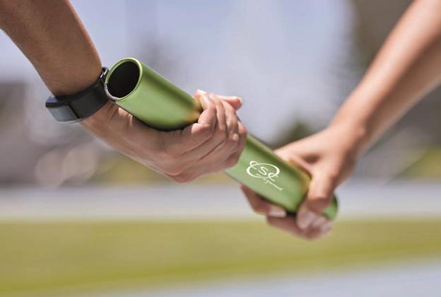 GRAP-fonctions de promotion-sélection