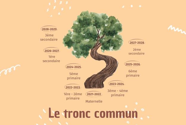 Le&nbsp; tronc commun