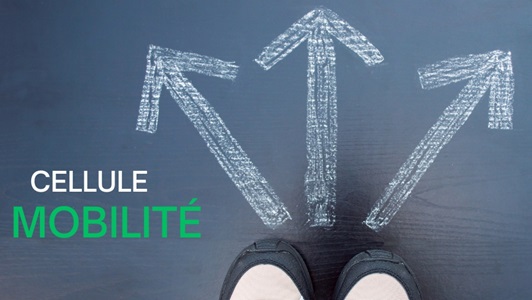 Cellule-molibite Cellule-molibite