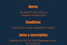 Job-Project-2-tcm205-426466