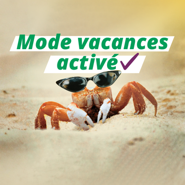 Campagne Vacances Jeunes